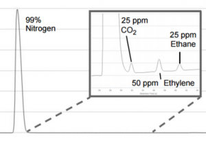 TCD autorange sur le Micro GC Fusion