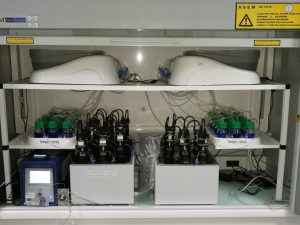 Processus de méthanisation