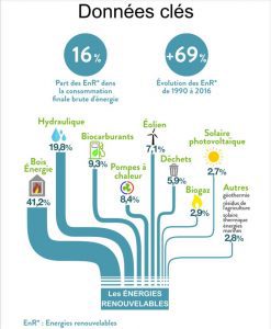 Part des Energies Renouvelables par secteur