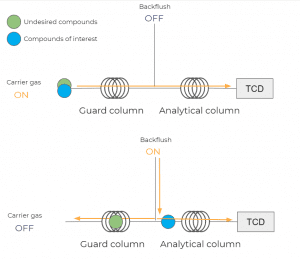 Principle of the backflush feature in microGC