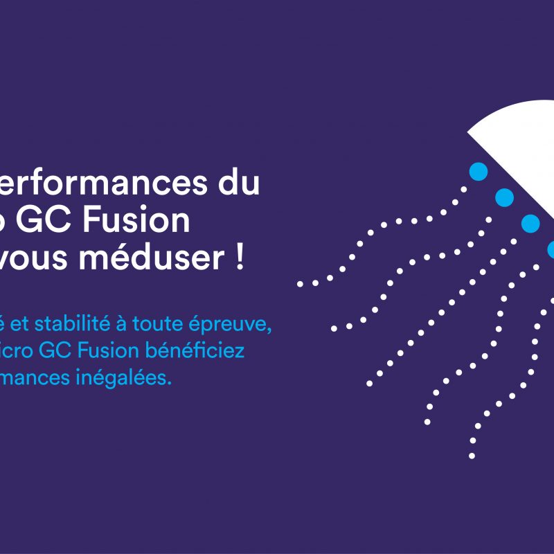 Meduse - Les performances du Micro GC