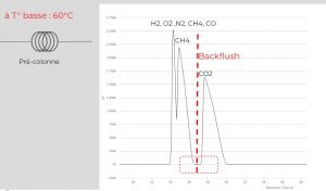 backflush basse température