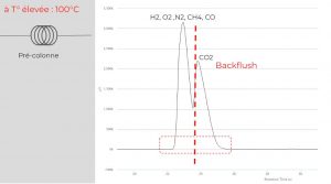 Backflush haute température