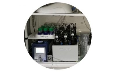 H2S : quand on le sent, c’est rassurant !