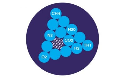 Simplifier l’analyse du gaz naturel avec le Micro GC Fusion®