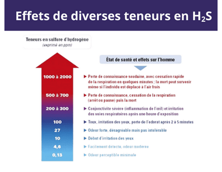 Effets de diverses teneurs en H2S